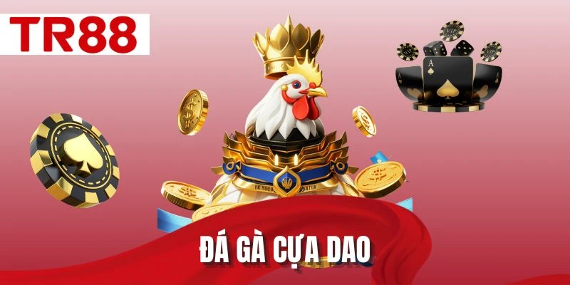 Đá gà cựa dao